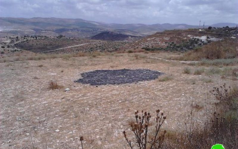 Enav colonists torch wheat crops in the Tulkarm village of Kfar Al-Labad