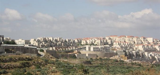 “Built on Private Palestinian Lands”

New facilities in the illegal settlements of Giv’at Ze’ev and Mod’in ‘Ilit