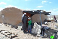 اخطار بوقف العمل في خيمتين للسكن بخربة المفقرة شرق يطا