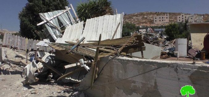 Demolition of commercial structures in the Jerusalem neighborhood of Wad Al-Dam