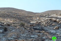 إحراق مساحات واسعة من الاراضي الزراعية على يد المستعمرين وجيش الاحتلال شمال شرق محافظة رام الله