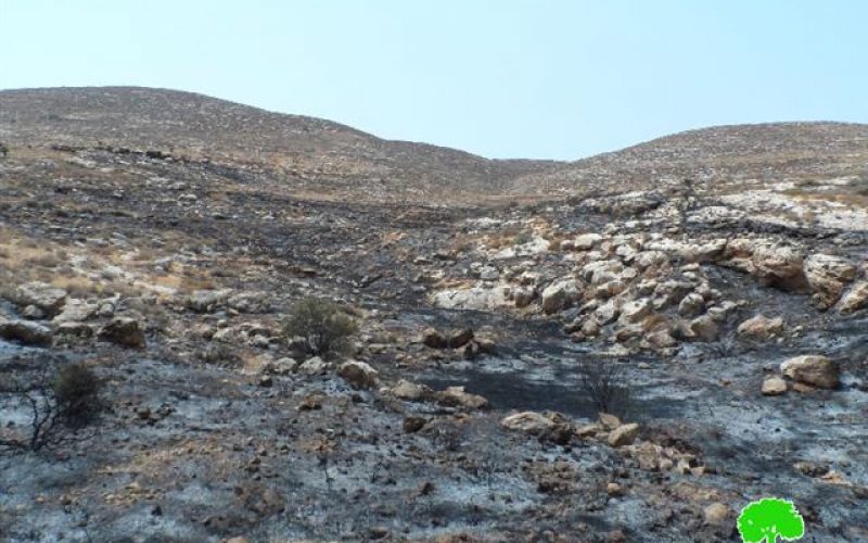 إحراق مساحات واسعة من الاراضي الزراعية على يد المستعمرين وجيش الاحتلال شمال شرق محافظة رام الله