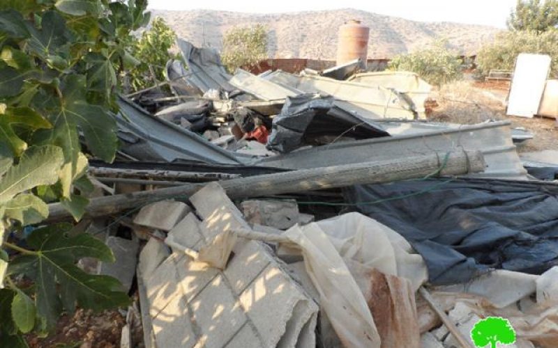 New demolitions in the northern Palestinian Jordan Valley (Al-Ghoor)