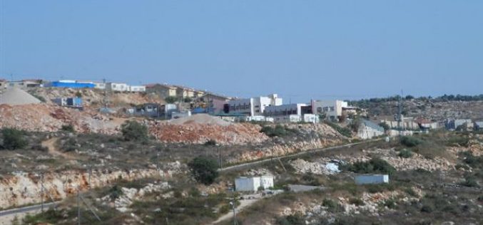 Establishing new colonial quarter in Revava colony at the expense of Deir Istiya village