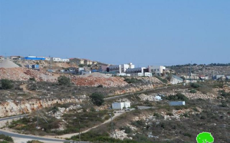 Establishing new colonial quarter in Revava colony at the expense of Deir Istiya village