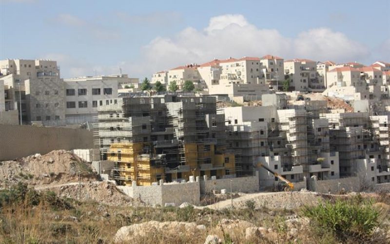 Everything is possible for the benefit of the Israeli settlers