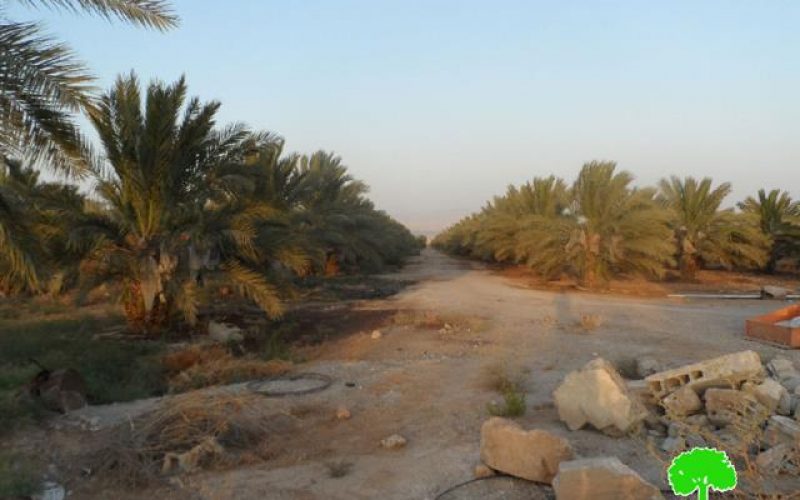 The Israeli occupation demolishes an agricultural room in Jericho