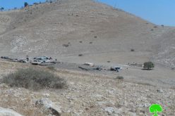 Demolition of agricultural and residential structures in the Palestinian Jordan Valley Al-Ghoor