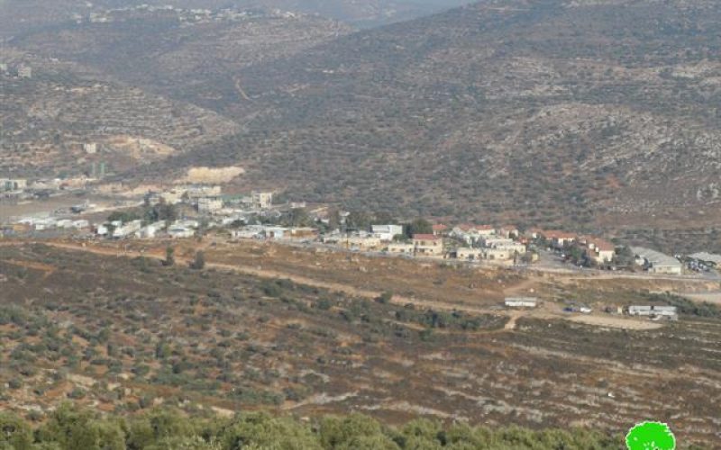 A stop-work order on a agricultural road in the Salfit village of Yasuf