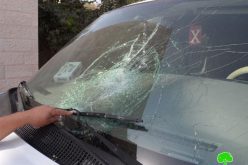Colonists damage 20 Palestinian cars in the periphery of Nablus city