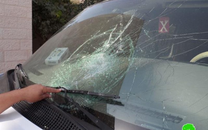 Colonists damage 20 Palestinian cars in the periphery of Nablus city