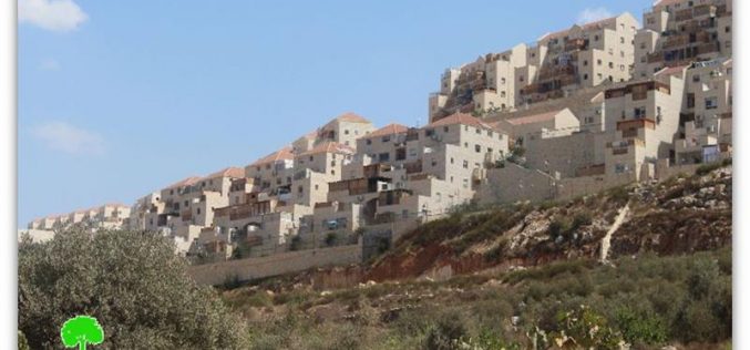 Israeli colonies spread all over Palestinian lands as cancer