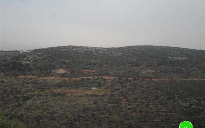 Evacuation notice on an agricultural land in Salfit