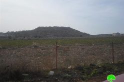 The Israeli occupation demolishes three water wells in the Jenin village of Ta’nak