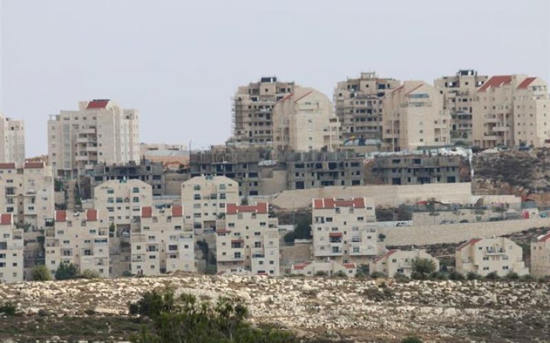 New Israeli Colonial Plans in the Occupied Eastern part of the City of Jerusalem