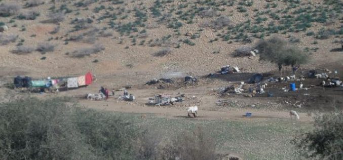 The Israeli occupation confiscate tents gifted by the Red Cross to shelter people affected by demolition