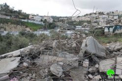The occupation municipality in Jerusalem demolishes an under construction house in the neighborhood of Ein Al-Luzeh