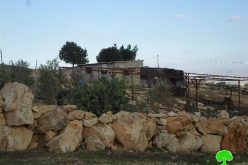Stop-work orders on residences and barns in Jericho city