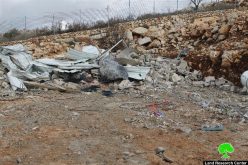 The occupation Municipality oblige Jerusalem man to self -demolish his barn