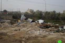 The occupation forces demolish a carpentry workshop and a sheep farm in Qalqiliya