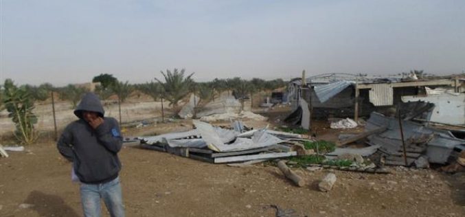 “Even funded and gifted by EU” <br>
The Israeli Occupation Forces demolish residential barracks east Jericho city