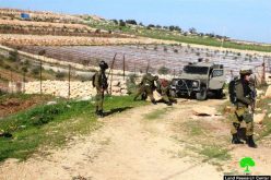 الاحتلال يهدم منشآت زراعية ببلدة بيت أولا بمحافظة الخليل