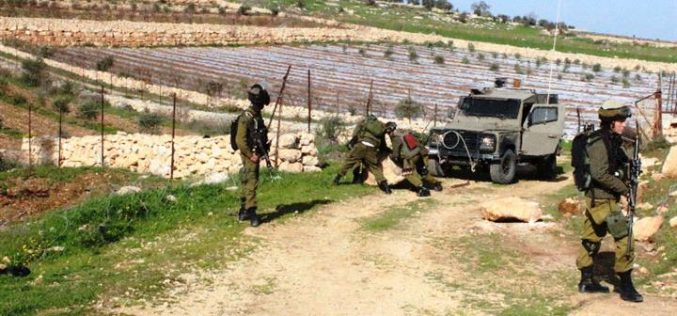 الاحتلال يهدم منشآت زراعية ببلدة بيت أولا بمحافظة الخليل