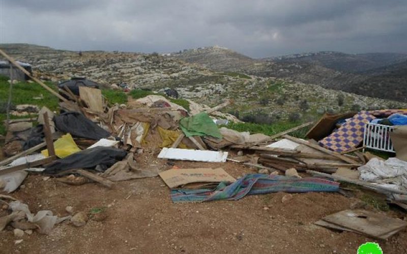 The Israeli Occupation Forces demolish a number of structures in the Bedouin community of Arab Al-Kaabnah