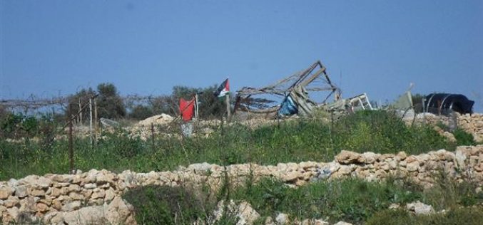 Israeli Occupation Forces demolish two agricultural rooms in Bilin