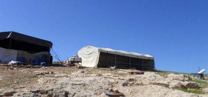 Stop-work order on a residential tent in Khirbet Al-Halawah