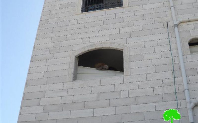 Closing and demolishing the apartment of Eskafi family in Hebron