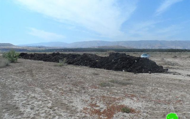 Yitav colonists confiscate endowment lands from Jericho area of Al-Auja