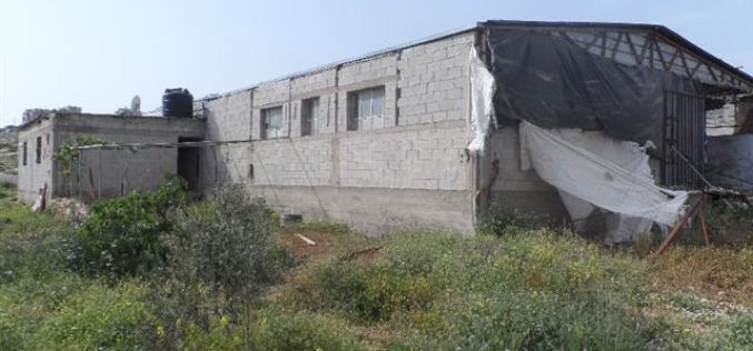 Israeli Occupation Forces notify chicken farm and water well of demolition in Nablus city