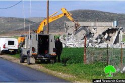 Unprecedented vicious attack on Palestinian construction in East Jerusalem and West Bank <br>
Demolition of 523 residences and structures since the beginning of 2016