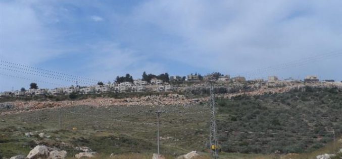 Expansion works on Kiryat Netafim colon, west Salfit governorate