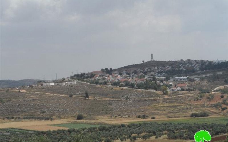 Expansion works on Shevut Rahel colony at the expense of Nablus lands