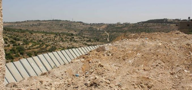 “For Security Purposes”
The Israeli Bulldozers razed about 2 dunums of Lands in Al-Khader town northwest of Bethlehem Governorate