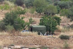 Israeli Violations in the Occupied Palestinian Territory- May 2016