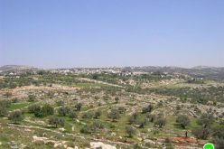 The Israeli Occupation Army torches tens of fields in Bil’in – Ramallah governorate