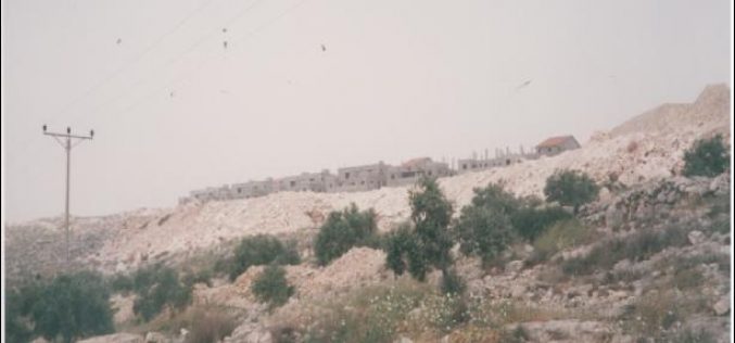 New Colonial Activity in Deir Ballut Village – Salfit District