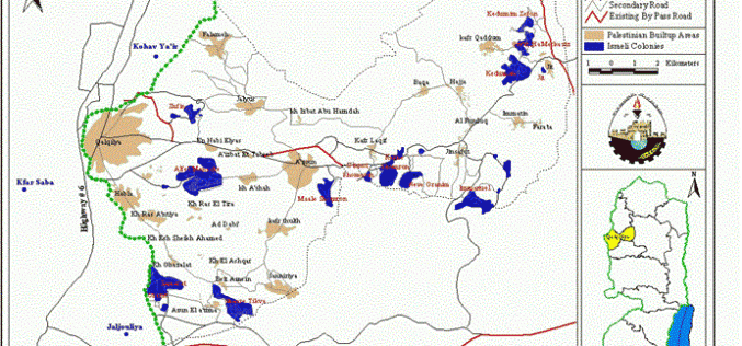 Losses in the Agricultural Sector in Qalqiliya District