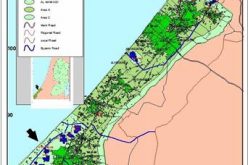 Al Mawasi Region in Gaza … The Reality of the Israeli War Against Land and Humans