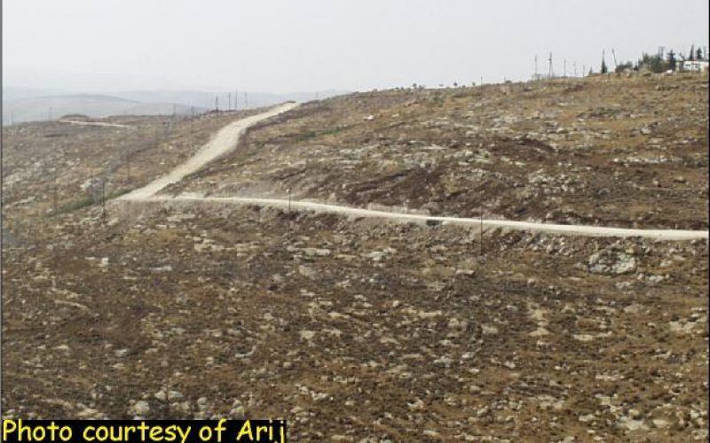 The Alternative Road From Bethlehem To Hebron: A lingering bereavement