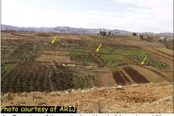 A New Military Road Around Har Homa settlement – Update