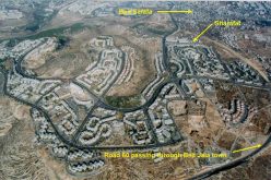 Gilo’s plan of Expansion: 260 new housing units …!
