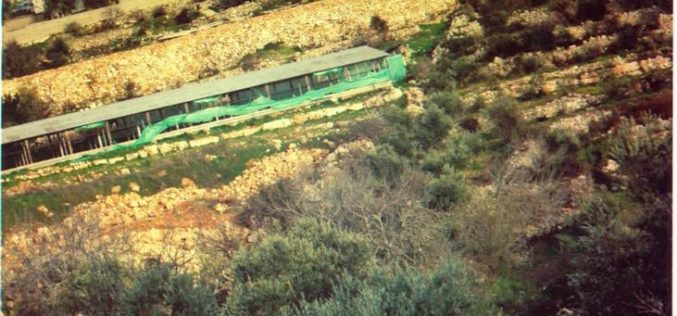 A battle of will … ! Beit Surik, Qattanah & Beddo Villages: An Agricultural Triangle Under Israeli Attack