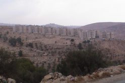 New Order in Beit Sahour City