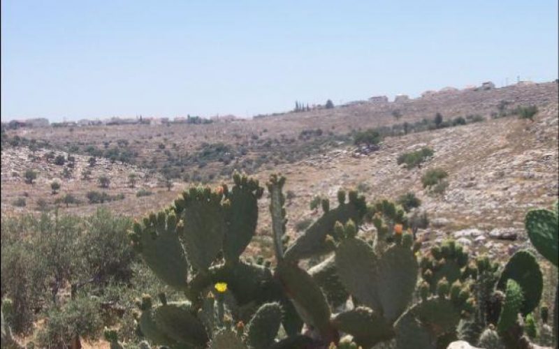 In breach of the International law, the Segregation Wall continues to grab more Palestinian lands !!! “The Case of Ni’lin Village. “
