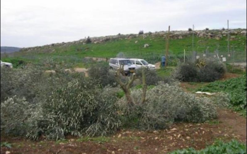 The Israeli aggressive measures continue in Beit Sira village