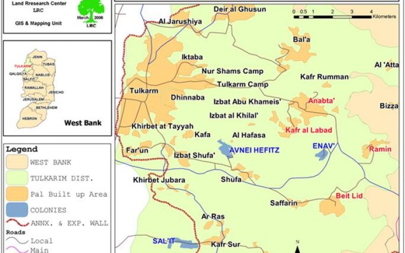 Tree uprooting and land devastation continue in Beit Lid land